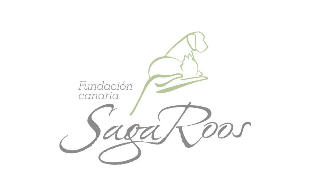 Fundación Saga Roos
