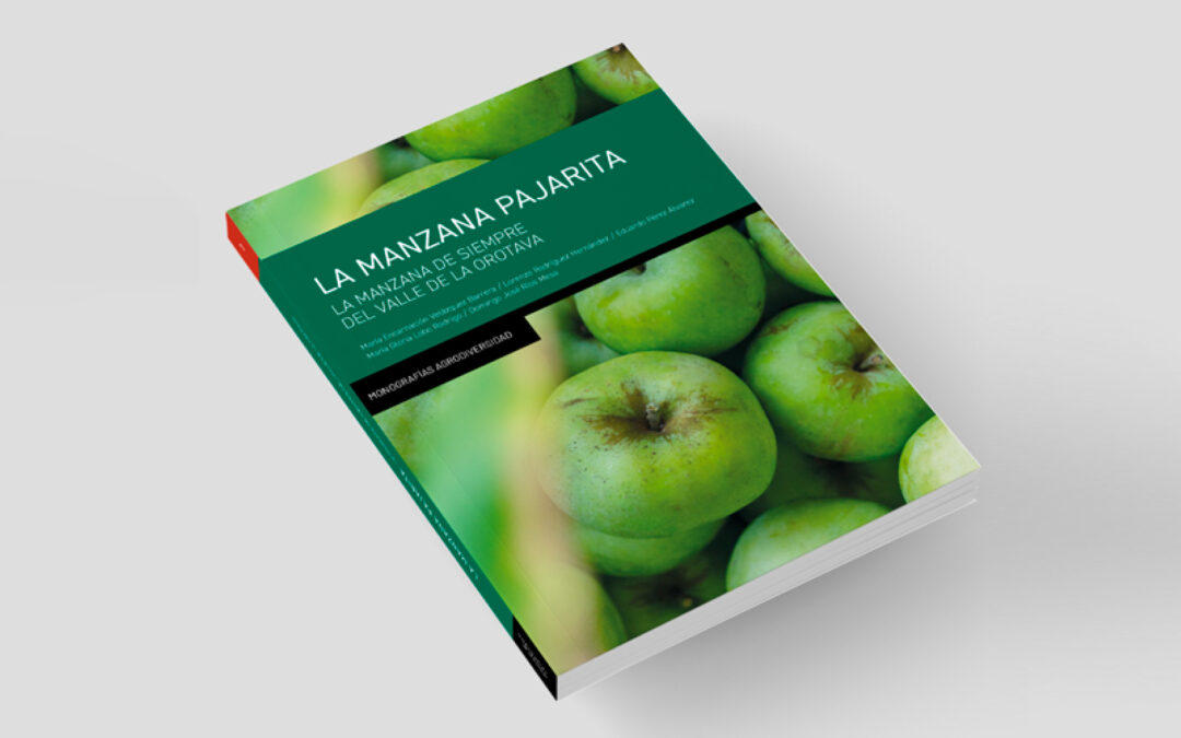 Manzana pajarita