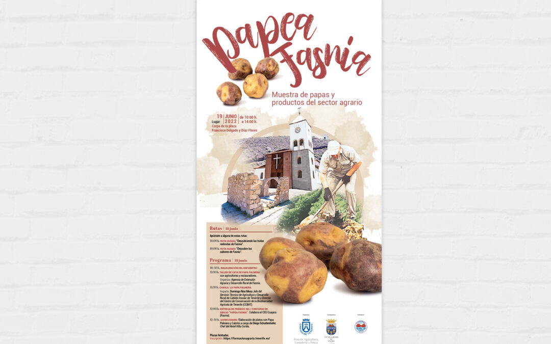 Papea Fasnia