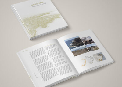 Libro Punta de Abona